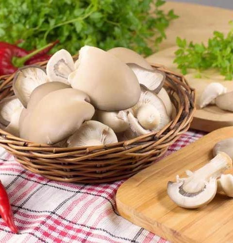 Oesterzwammen bakken