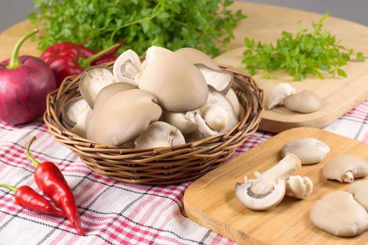 Oesterzwammen bakken