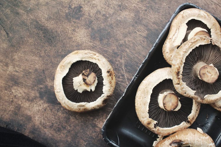 Portobello bakken