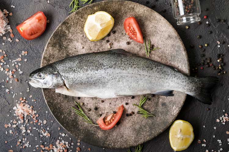 Forel bakken