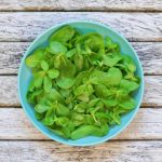 Hoelang koolrabi koken?