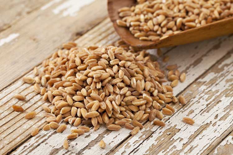 Farro koken