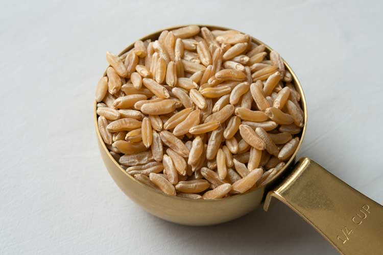 Kamut koken