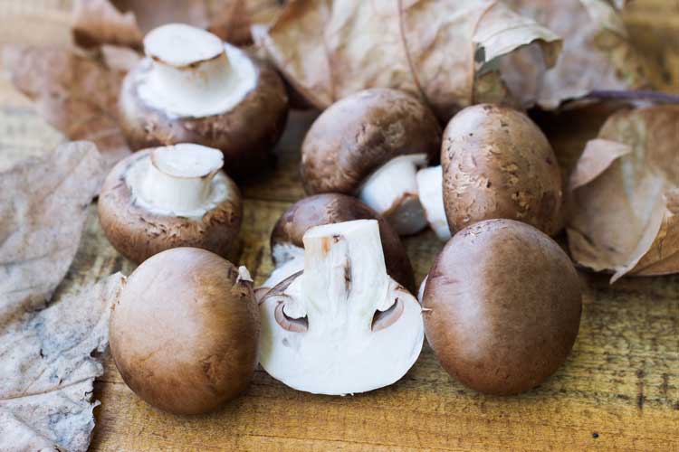 Kastanjechampignons bakken