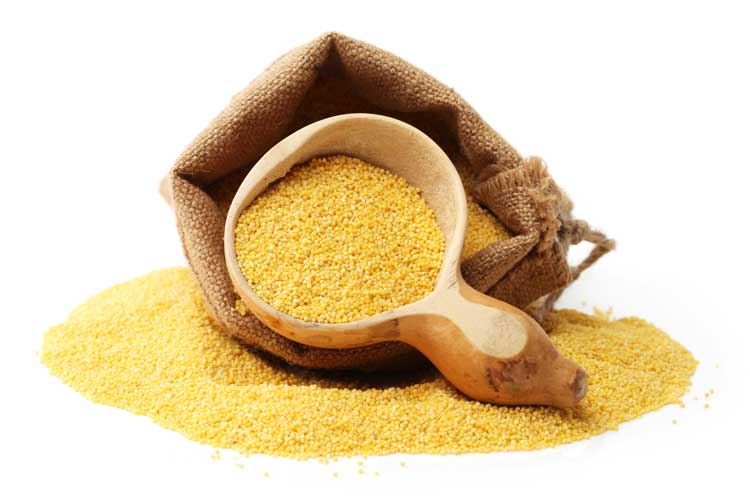 Millet koken