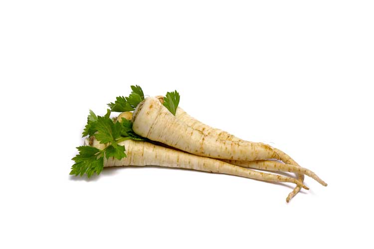 Wortelpeterselie koken
