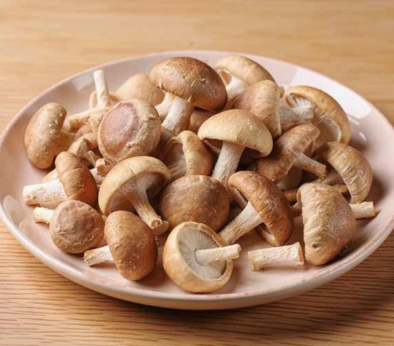 Shiitake bakken