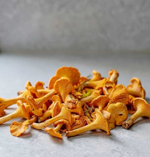 Genoeg verse cantharellen om te bakken voor 4 personen, op het werkblad van mijn keuken.