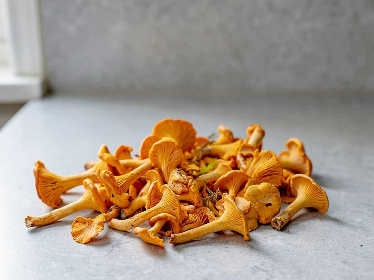 Genoeg verse cantharellen om te bakken voor 4 personen, op het werkblad van mijn keuken.