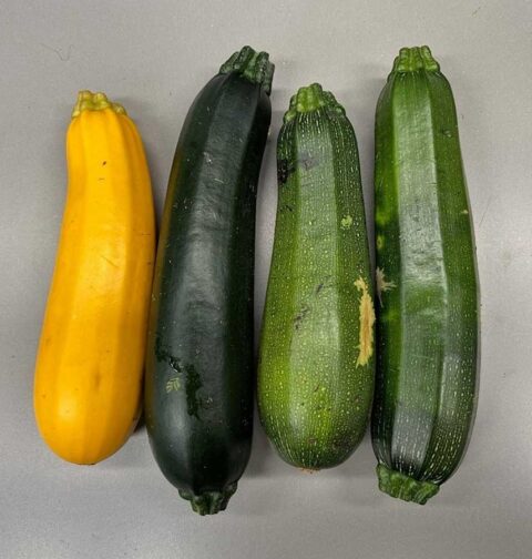 4 verse courgettes, lichtgroen, geel, en donkergroen.