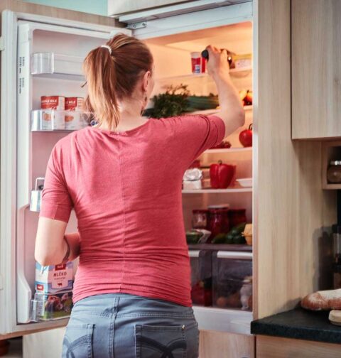 Een schoongemaakte diepvriezer.