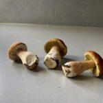 Hoelang wijting bakken?