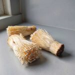 Hoelang rijstnoedels koken?