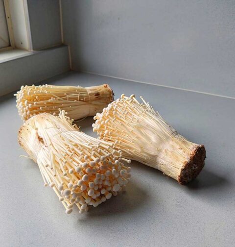 3 bundels verse enoki op een werkblad, alleen nog schoonboenen en bakken.