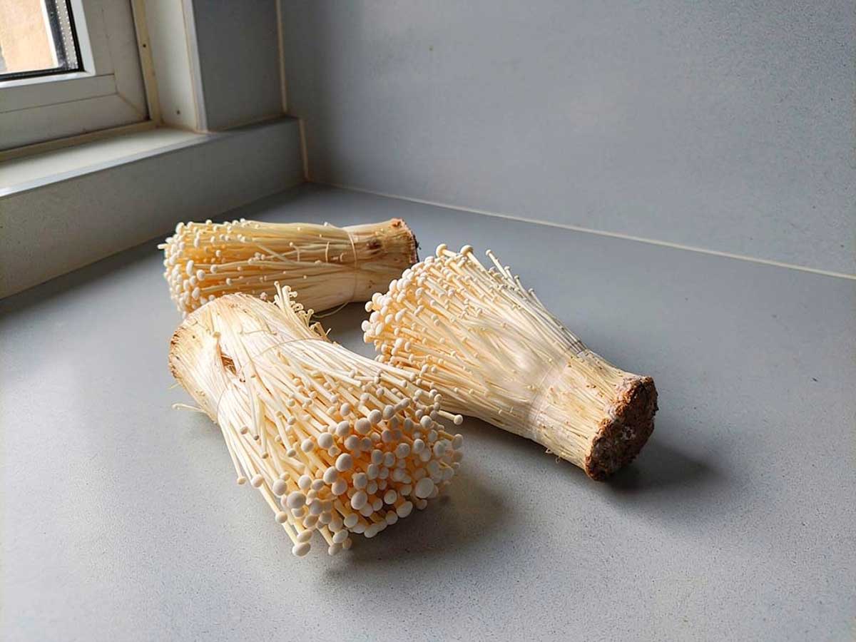 3 bundels verse enoki op een werkblad, alleen nog schoonboenen en bakken.