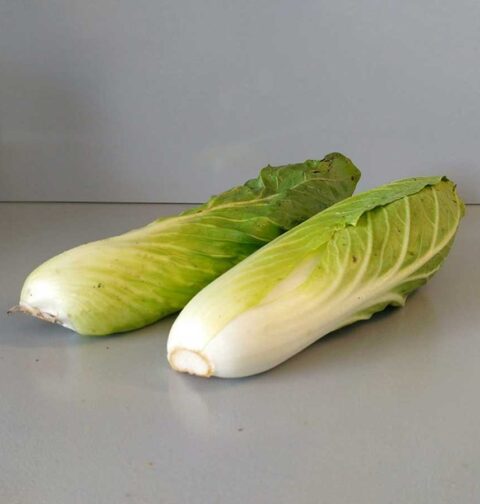 2 grote en lange kroppen groenlof, nog snijden en dan koken.