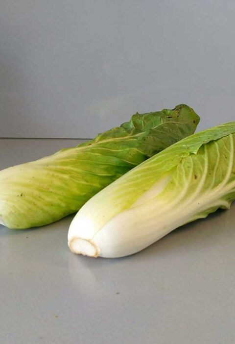 2 grote en lange kroppen groenlof, nog snijden en dan koken.