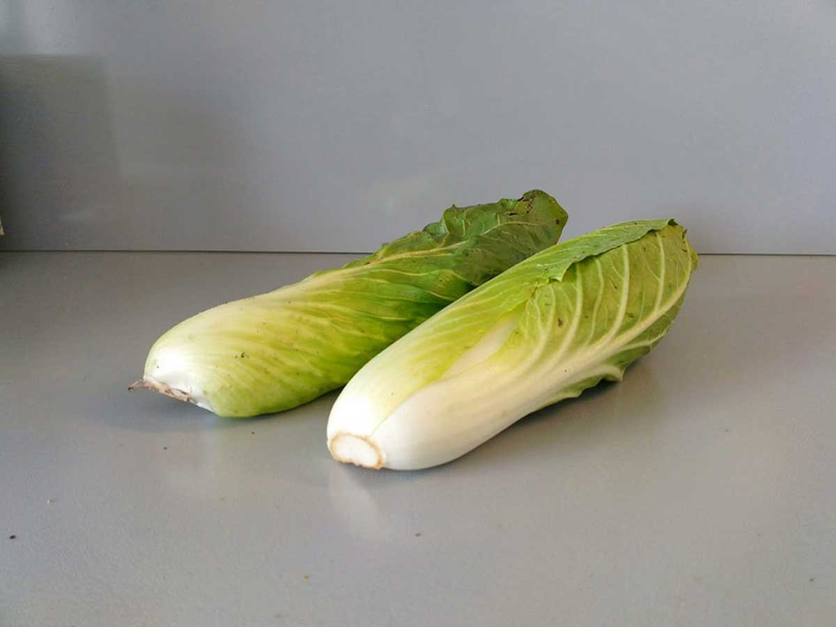 2 grote en lange kroppen groenlof, nog snijden en dan koken.
