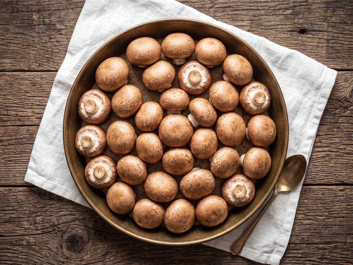 Kastanjechampignons bakken, maar eerst goed schoonboenen. Wilhelmus Hengstmengel doet dat met een stukje keukenpapier.