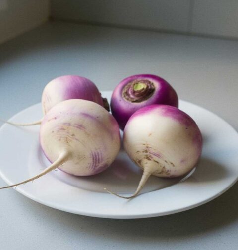 4 knolrapen zonder loof op een wit bord.