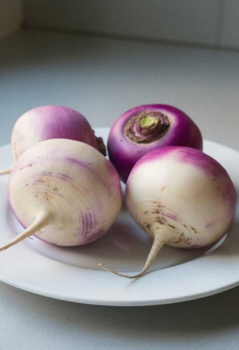 4 knolrapen zonder loof op een wit bord.