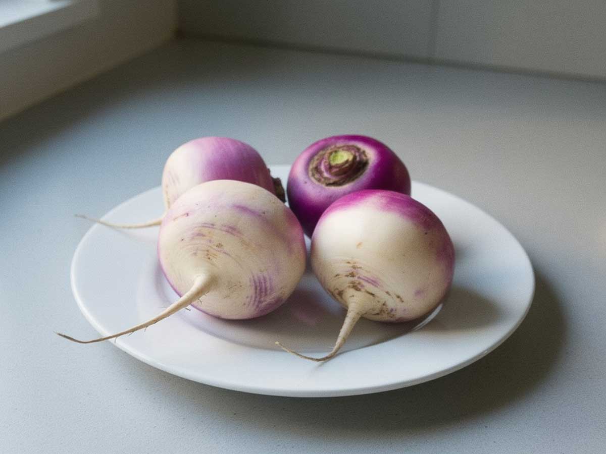 4 knolrapen zonder loof op een wit bord.