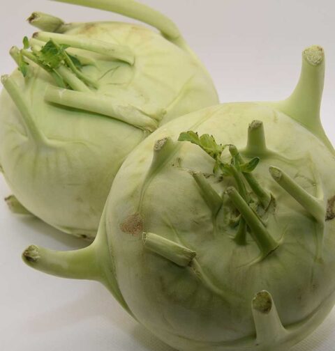 2 koolrabiknollen, die ik straks ga shillen en in blokjes snijden. Daarna ga ik ze koken.