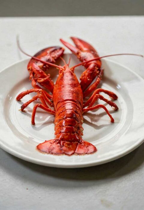 Een hele gekookte kreeft op een wit bord op een aanrecht.
