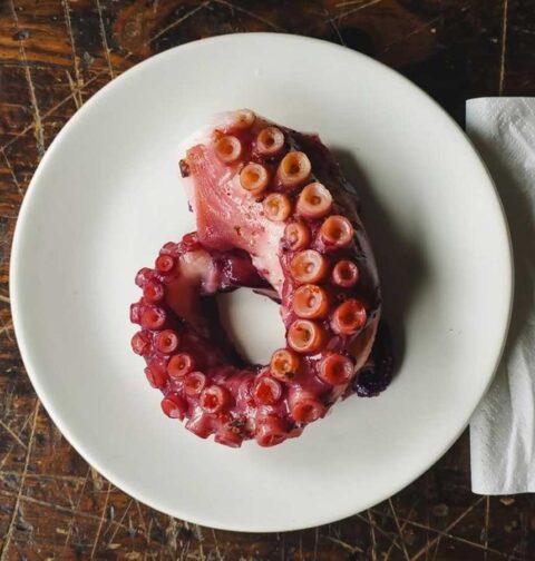 Een tentakel van een octopus, gekookt en gaar.
