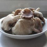 Hoelang kipfilet bakken?
