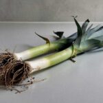 Hoe Bolo Gelado maken?