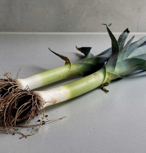 2 stengels prei, net geoogst, op het werkblad.