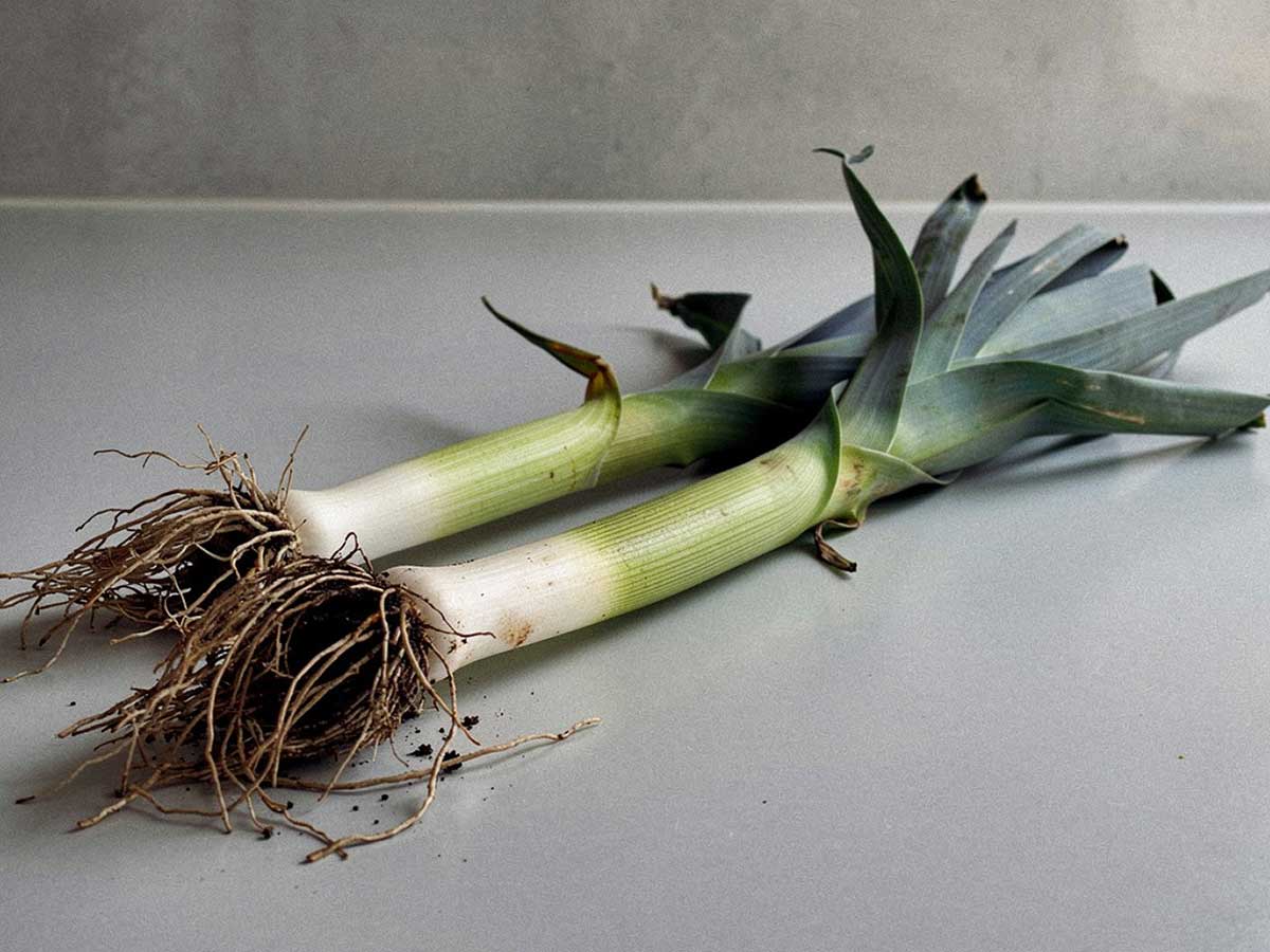 2 stengels prei, net geoogst, op het werkblad.