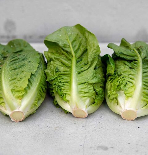 3 verse kroppen romaine sla, halveren en dan bakken.