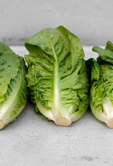3 verse kroppen romaine sla, halveren en dan bakken.