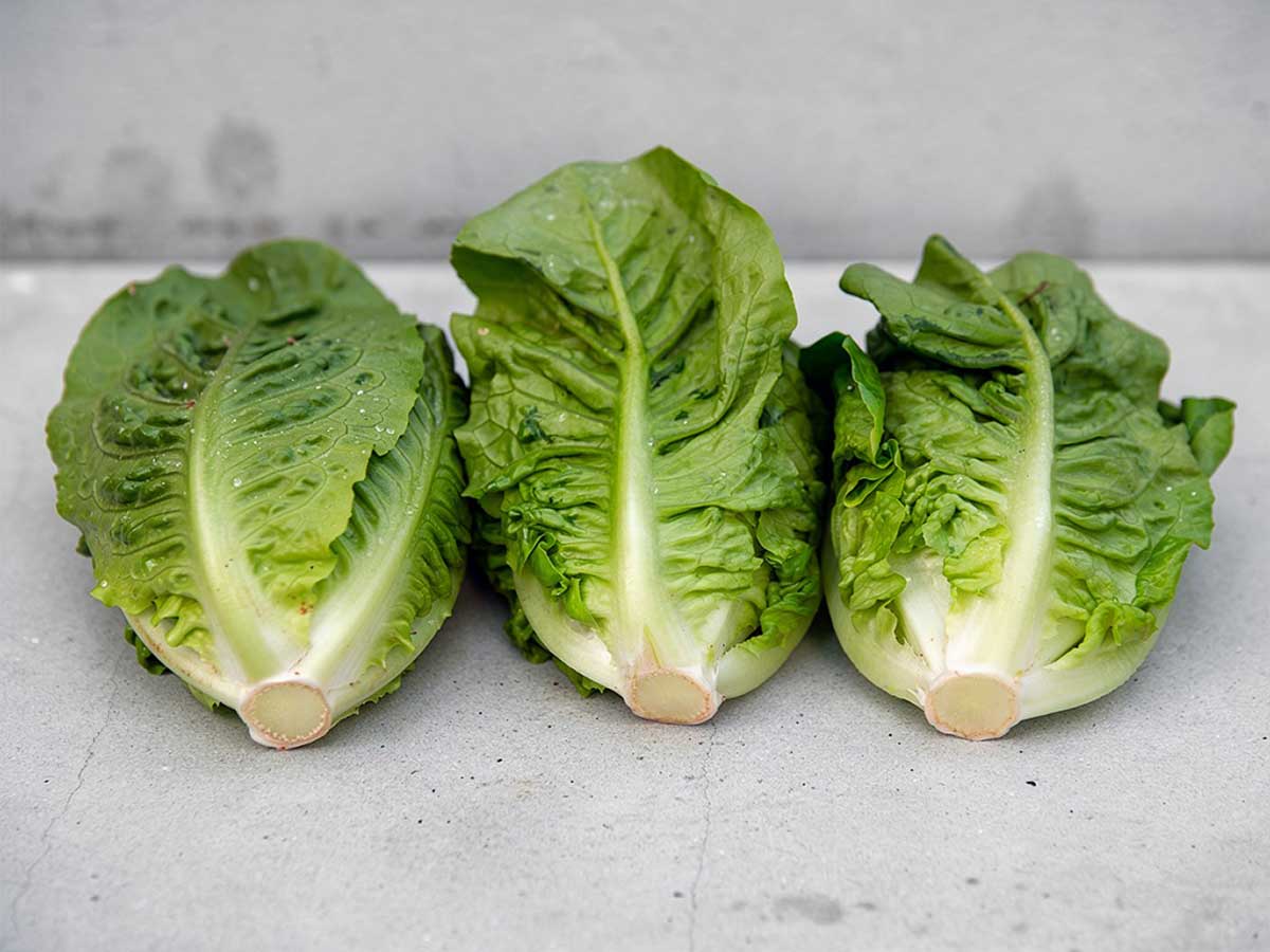 3 verse kroppen romaine sla, halveren en dan bakken.
