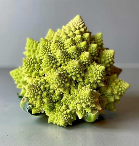 Een verse, ongesneden romanesco ligt op het werkblad.