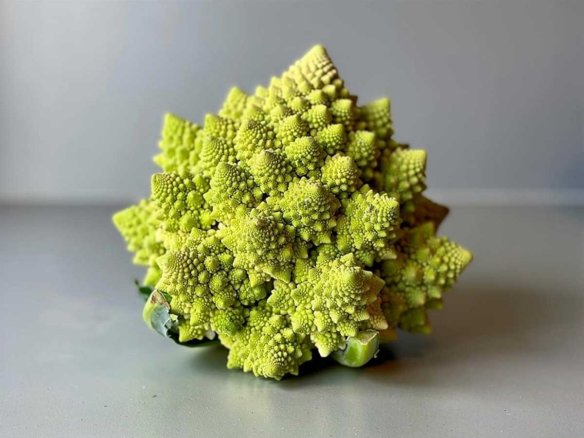 Een verse, ongesneden romanesco ligt op het werkblad.