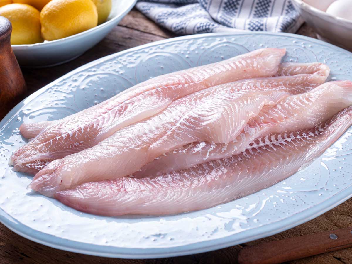 Verse schelvisfilets op een lichtblauw bord, klaar om te bakken.