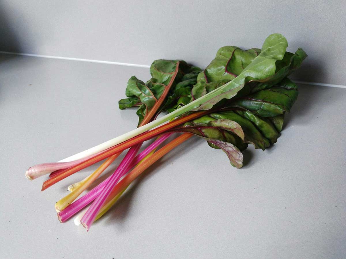 Diverse stelen snijbiet op het werkblad van een keuken.