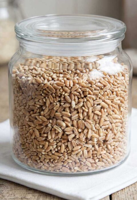 Spelt koken in een gewone pan, in de keuken van Wilhelmus Hengstmengel