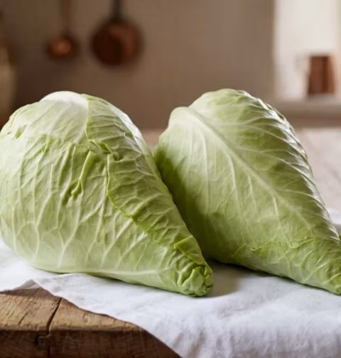 Spitskool koken, in dunne repen gesneden, in de keuken van Wilhelmus Hengstmengel