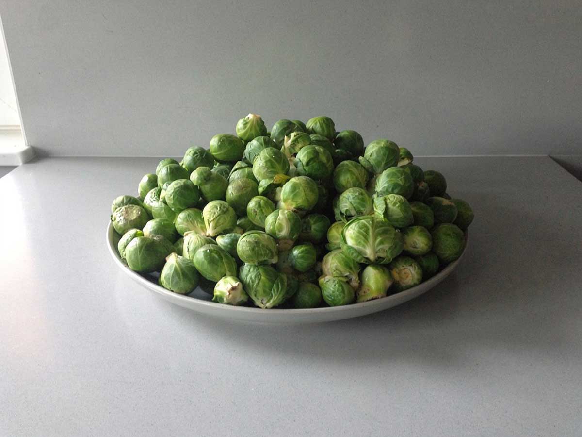 Een grote schaal met schoongemaakt maar nog niet gekookte spruitjes.