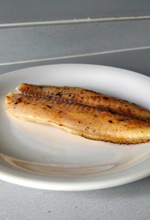 Een gebakken tilapiafilet op een wit bordje.