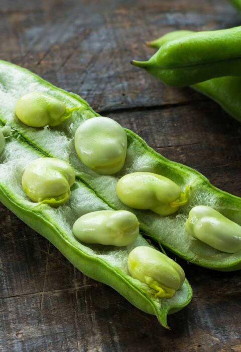 Tuinbonen in de dop, in een open peul, klaar om gewassen en gekookt te worden.
