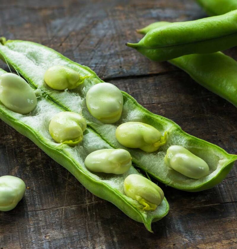 Tuinbonen in de dop, in een open peul, klaar om gewassen en gekookt te worden.