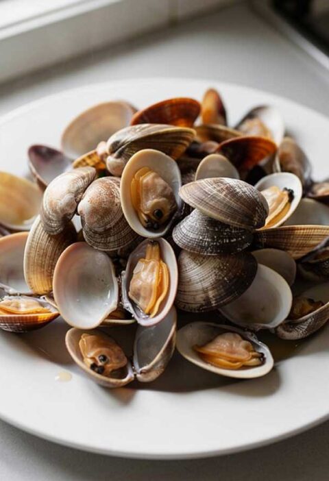 Een bord vol met net gekookte vongole.