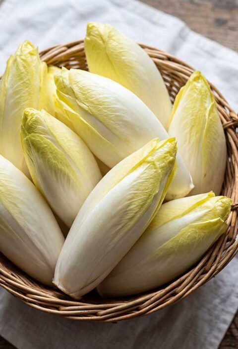 Een rieten mand met verse, geel-witte kroppen witlof.