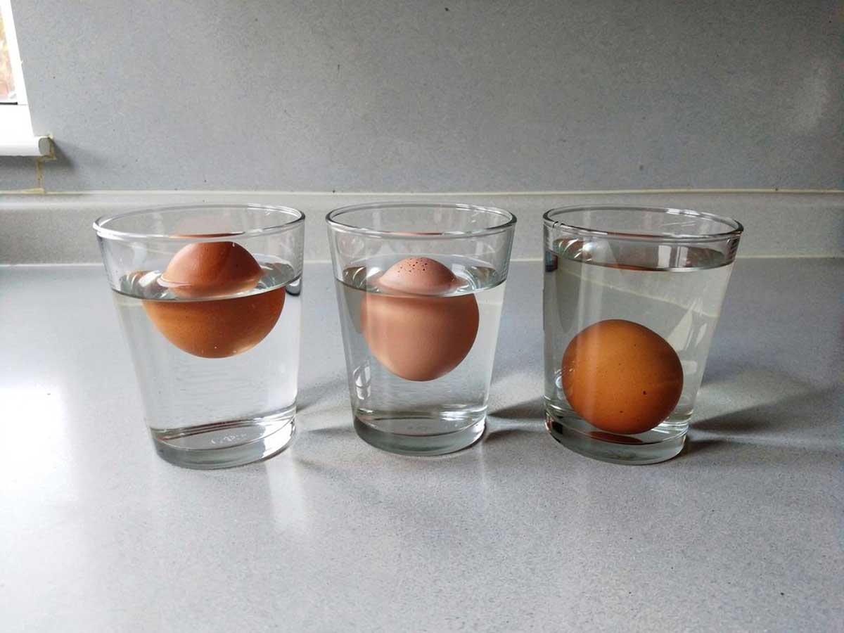Zijn de eieren nog goed?