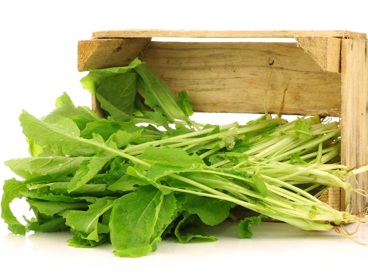 Raapstelen koken, maar eerst worden ze gewassen in de keuken van chef-kok Wilhelmus Hengstmengel